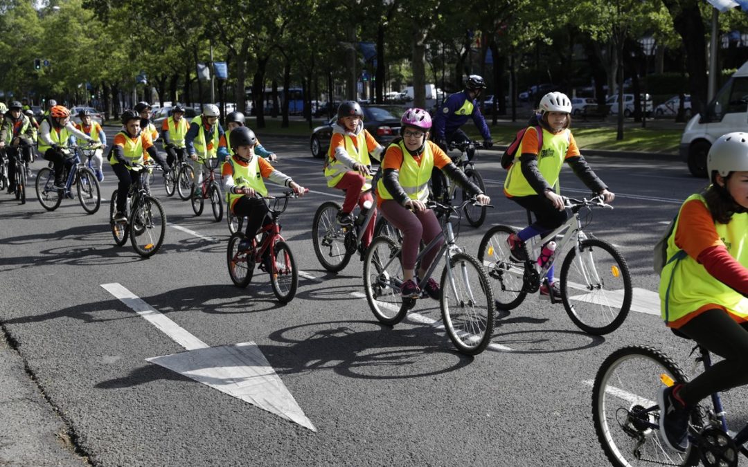 BICI: vital, viable, inclusiva