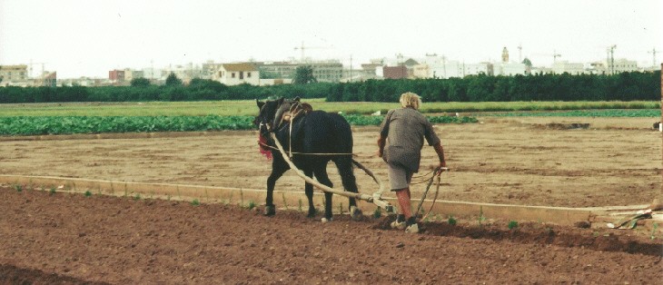 Claves para la comercialización de productos hortícolas ecológicos
