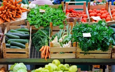 Mares de menús: una herramienta para modelar la oferta gastronómica