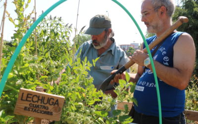 Los productos frescos y locales de la huerta llegan a Villaverde