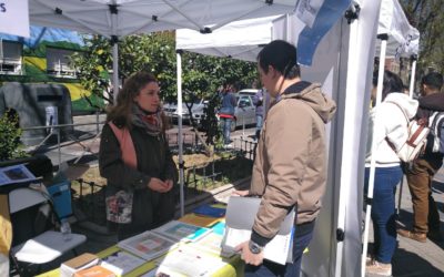 Participación de MARES en las mesas de empleo distritales